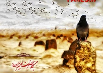 شهادت حضرت امام سجاد (ع) - 94