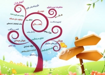 مرکز رشد کودک، سنین 3 تا 6 سال